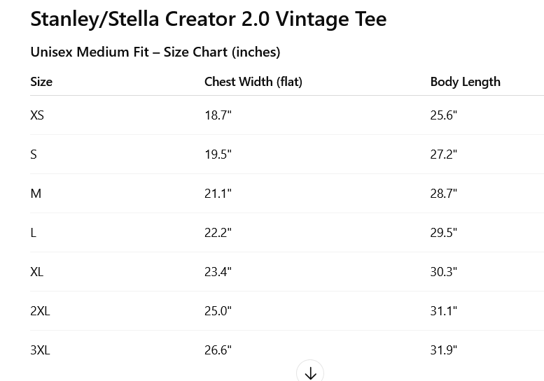 Austin Retro T-Shirt | Vintage Austin Texas Shirt | Organic Cotton ATX Music City Tee