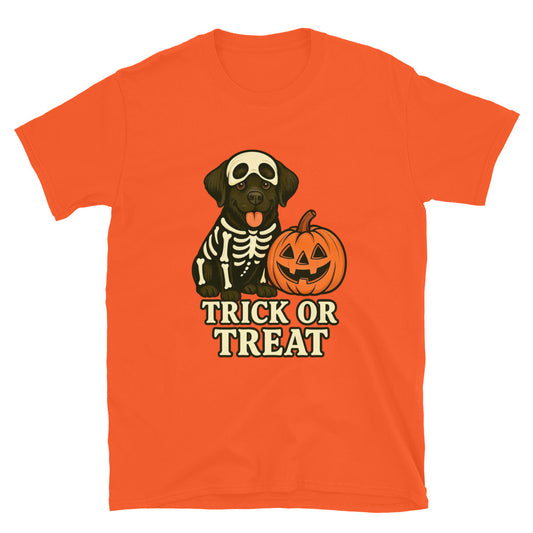 range t-shirt with a black lab dog in a skeleton costume and pumpkin design on a white background